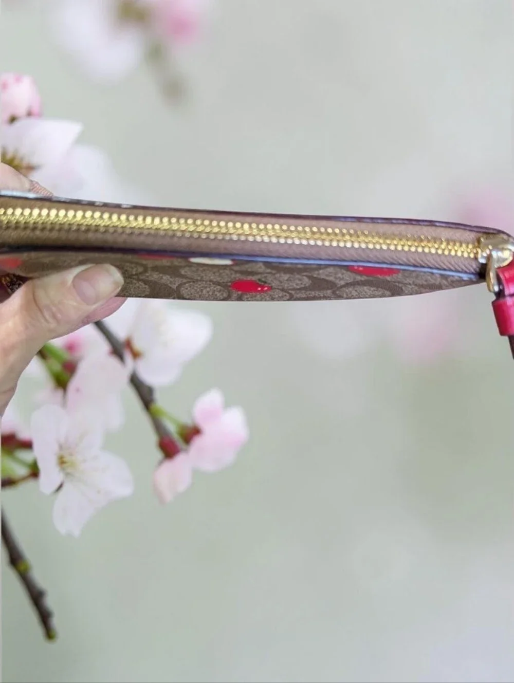 Coach Cherry Print Signature Wristlet in Brown with Red Accents